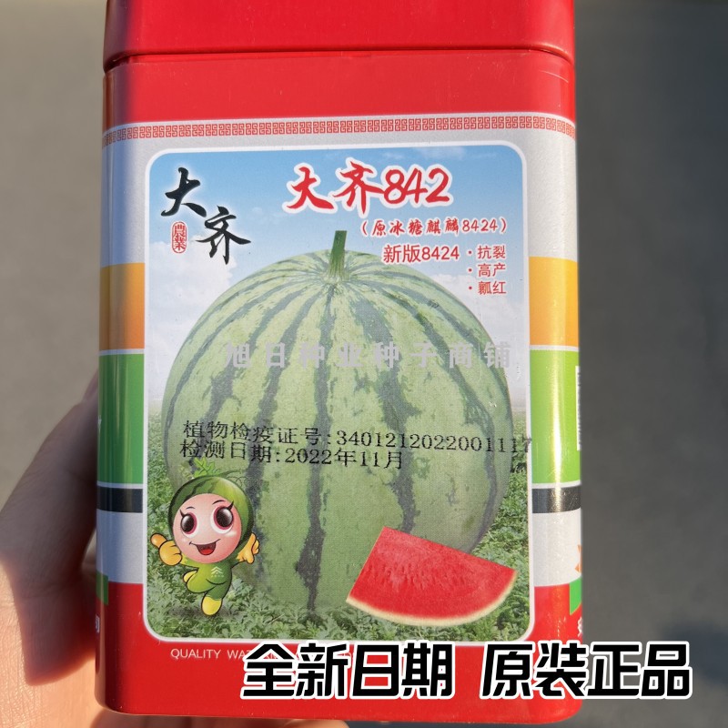 大齐8424麒麟西瓜种子粉红瓤