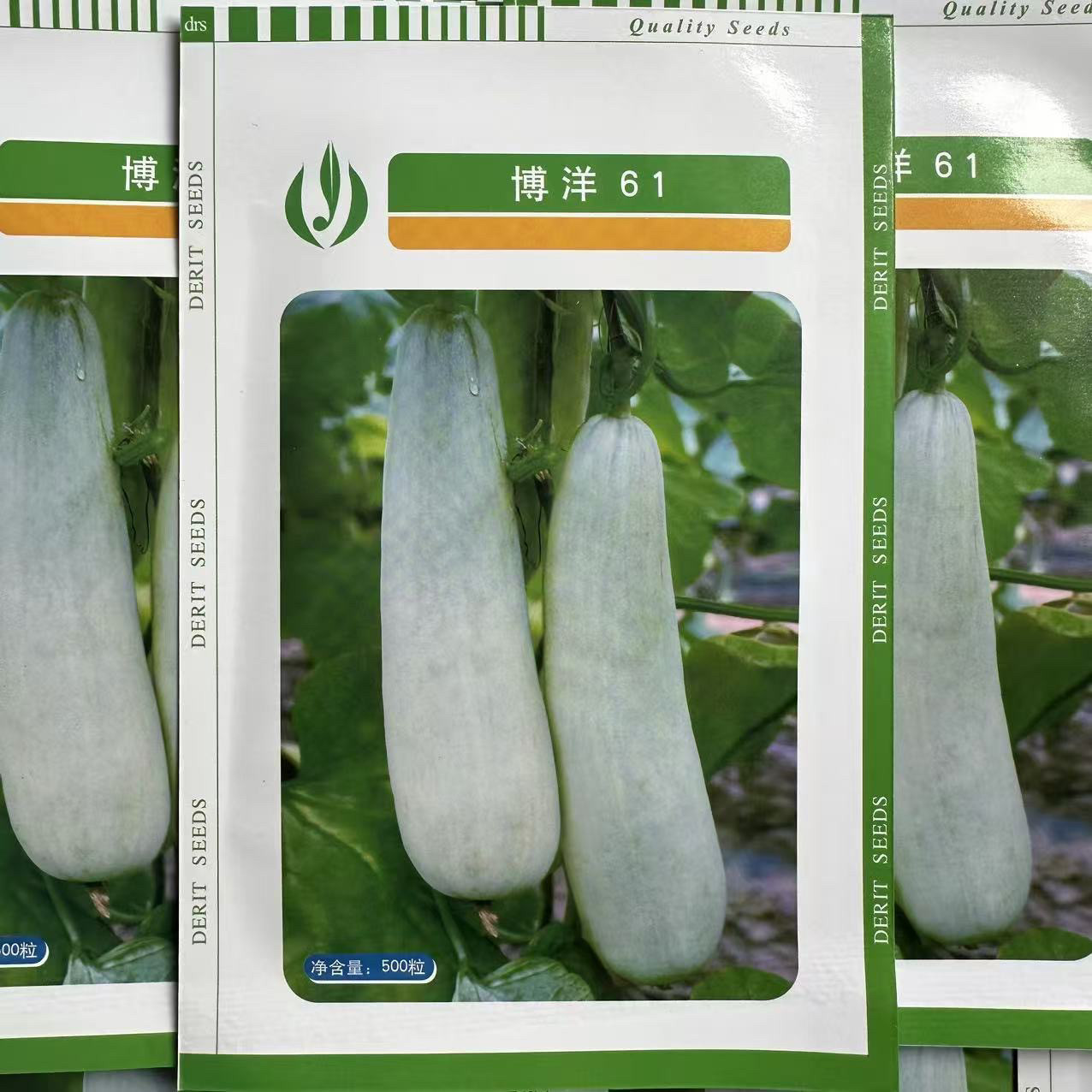德瑞特博洋61超甜羊角蜜甜瓜种子