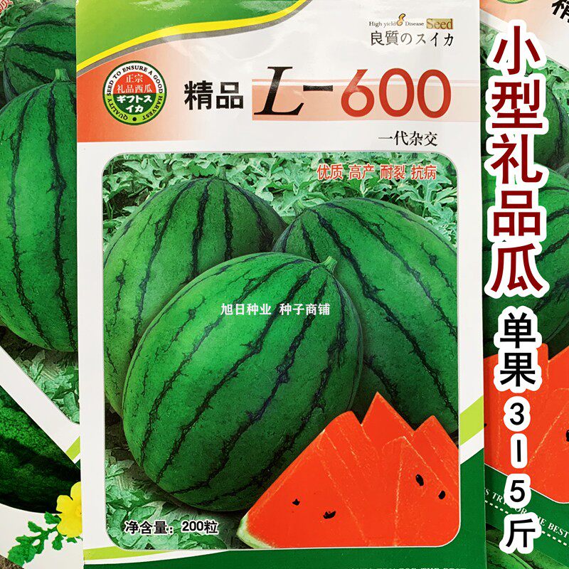 L600西瓜种子 高端精致礼品椭圆小西瓜 籽少甜度高早熟吊蔓新品种