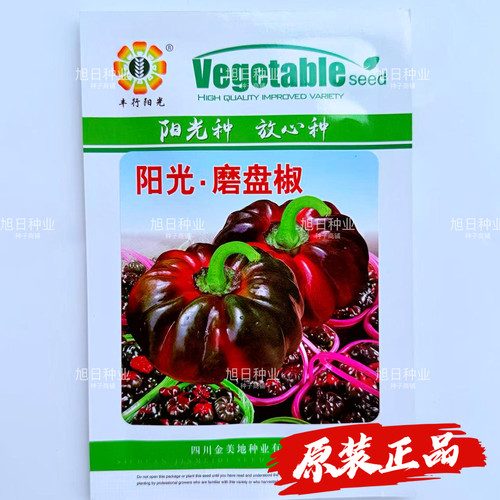阳光磨盘椒种子黑红辣椒种子果皮深红果肉厚味辣抗病高产春秋