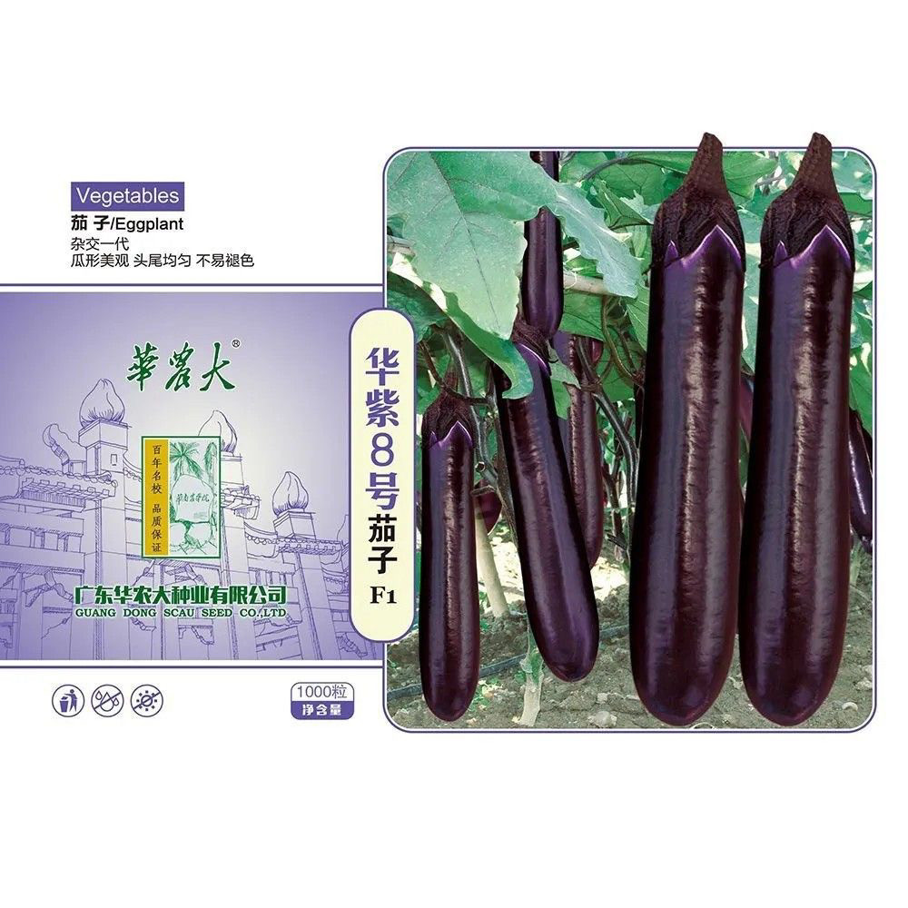 华南农大蔬菜华紫8号抗病高产耐热不变色皮油亮紫红烧烤茄子种子