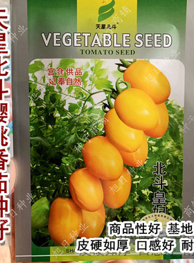樱桃小番茄种子 天星北斗皇妃黄色圣女果种籽 春秋基地精选水果孑
