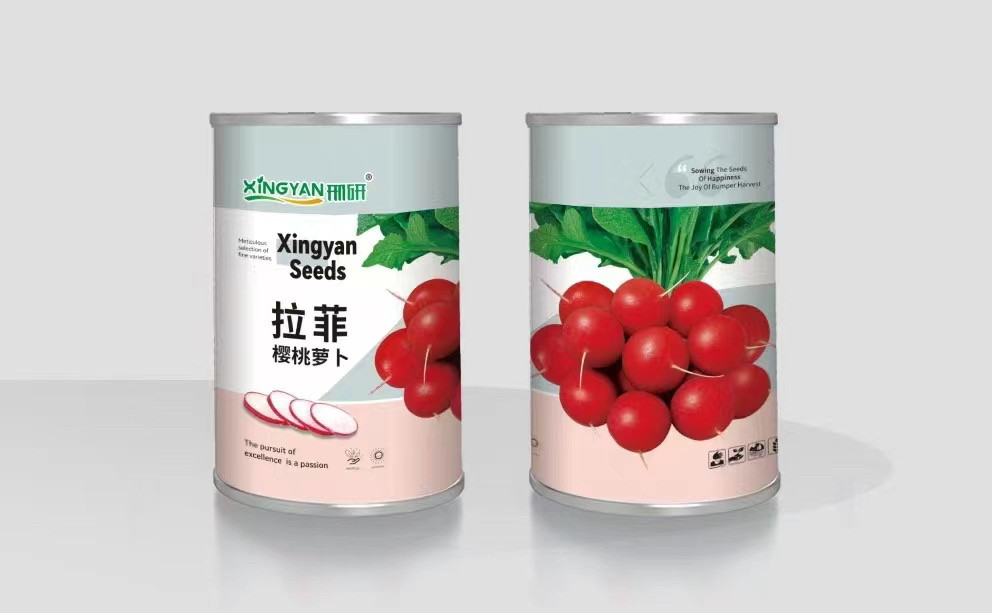 拉菲樱桃萝卜种子四季樱桃萝卜蔬菜种子水果种子基地用杂交小萝卜
