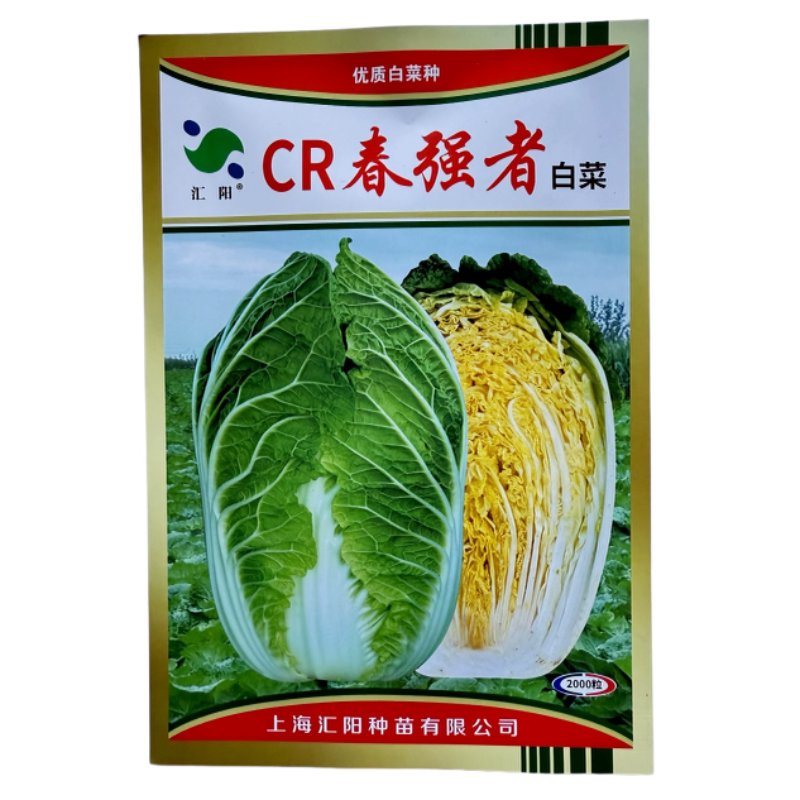 上海汇阳cr春强者高端春播黄心大白菜种子抗病强产量高白菜种籽孑