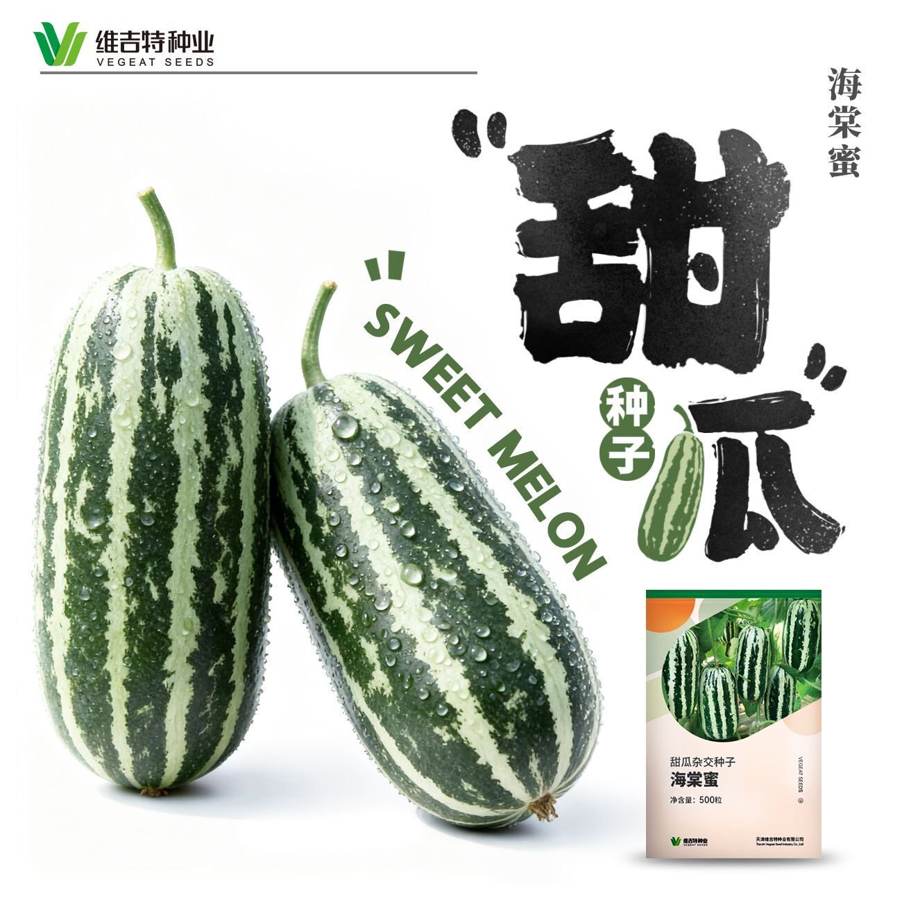 海糖蜜甜瓜种子,果实直筒型,果长17cm左右,灰白绿皮覆墨绿斑条