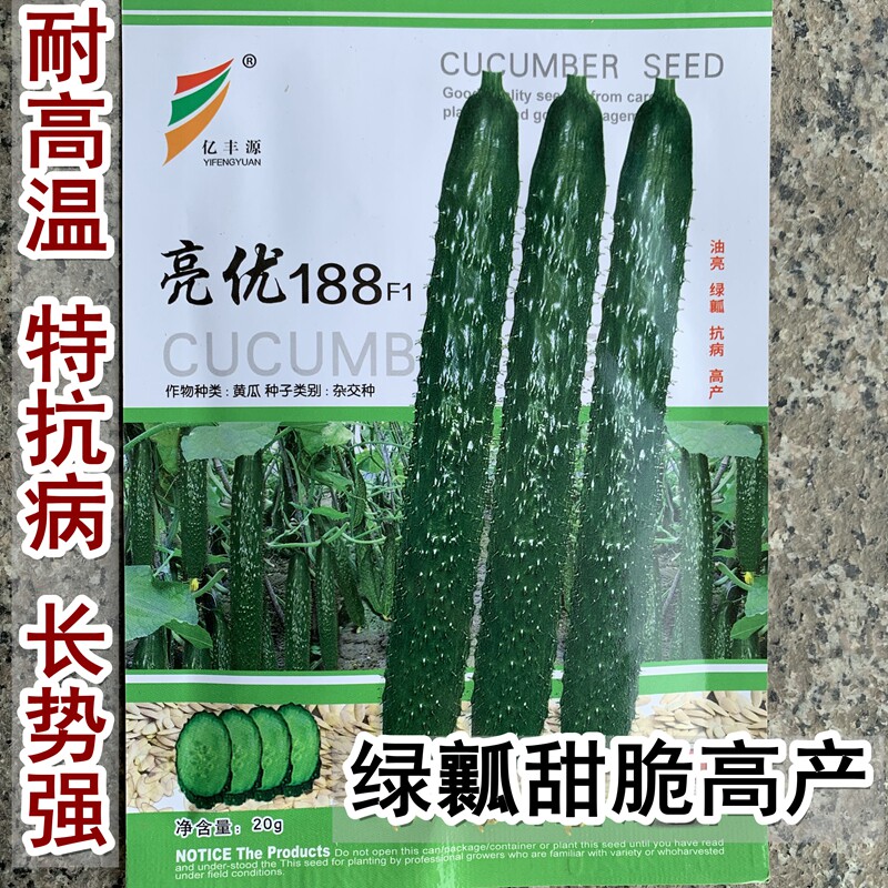 亿丰源亮优188黄瓜种籽子高产顺直油亮绿瓤夏季耐热 春秋四季蔬菜