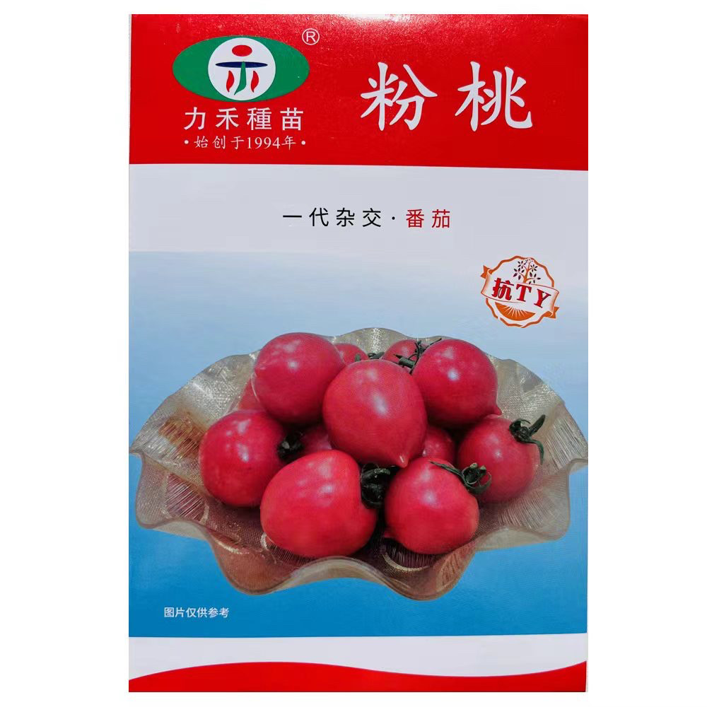粉桃番茄种子一代杂交西红柿种籽高产抗病耐热四季播盆栽蔬菜种孑