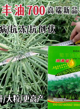 蜀丰油007 油菜种籽榨油高油抗倒伏油满盆矮杆大粒油菜花种子秋播