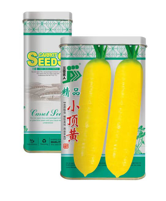 精品小顶黄齐头黄胡萝卜种子高产优质金黄色胡萝卜种子耐热萝卜种