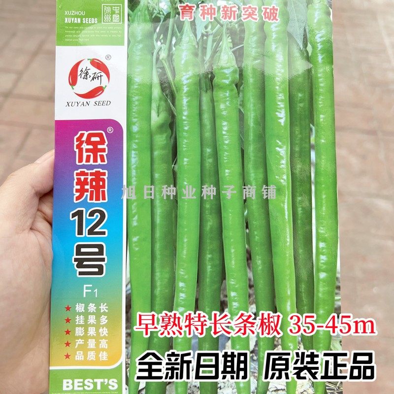 徐研超长线椒种籽高产抗病