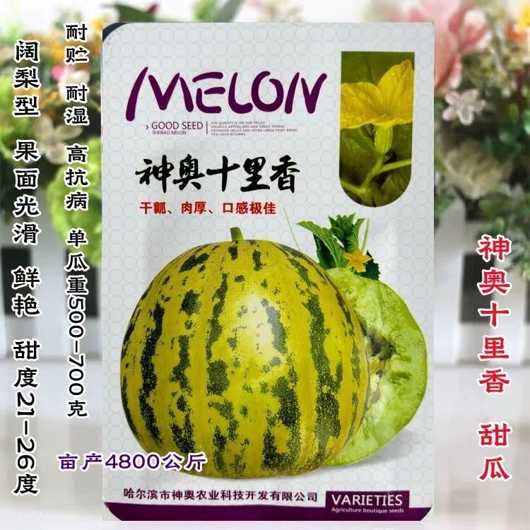 神奥十里香甜瓜种子高糖豹纹花皮甜瓜种子 香味纯正 口感香甜包邮