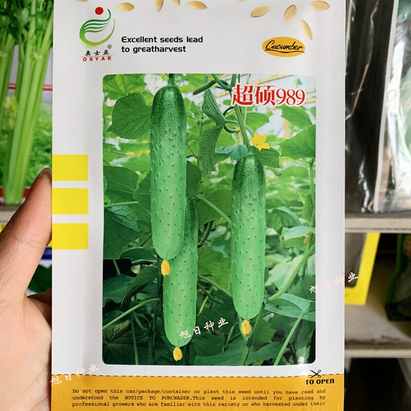 蔬菜水果型四季爬藤节节瓜