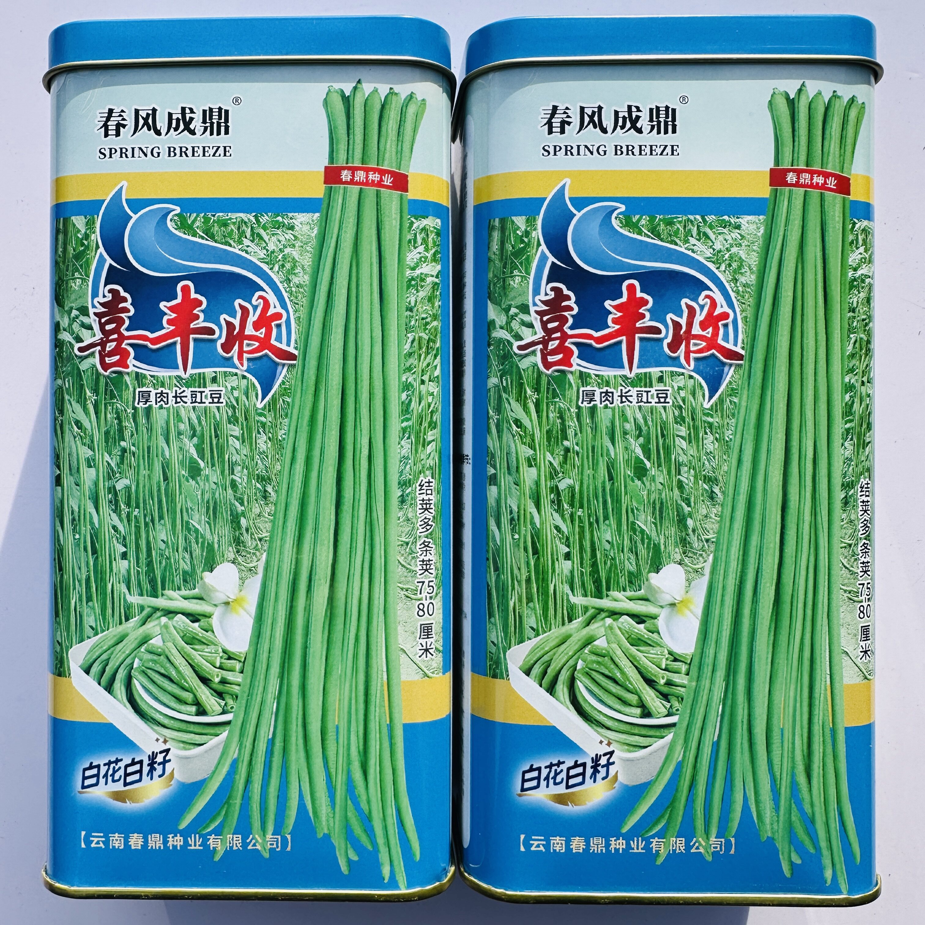 喜丰收豇豆种子厚肉白花长豆角种籽高产持续翻花能力强双荚春秋播