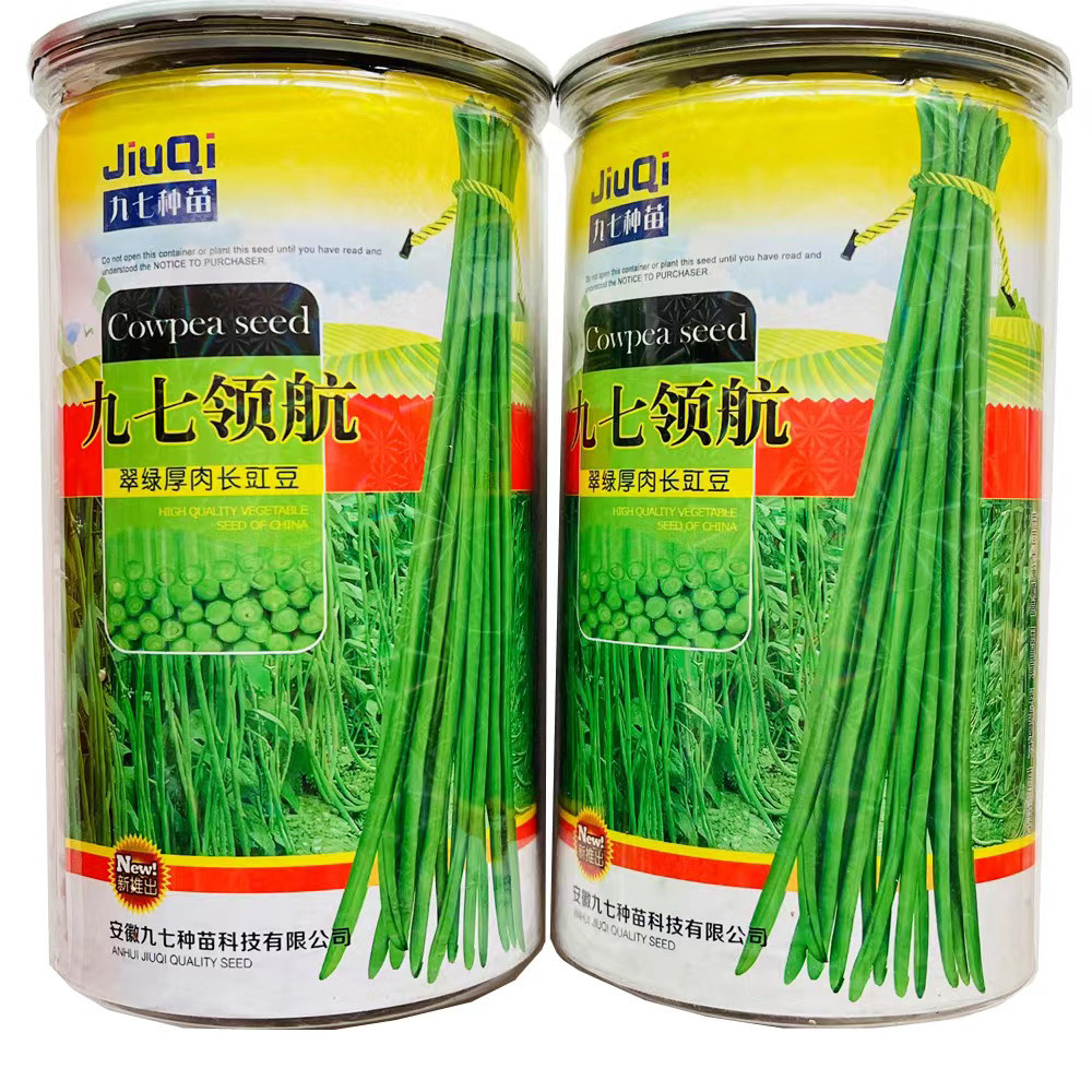 长豇豆种子九七领航翠绿色肉厚无筋順直春秋农家长豆角种蔬菜种孑