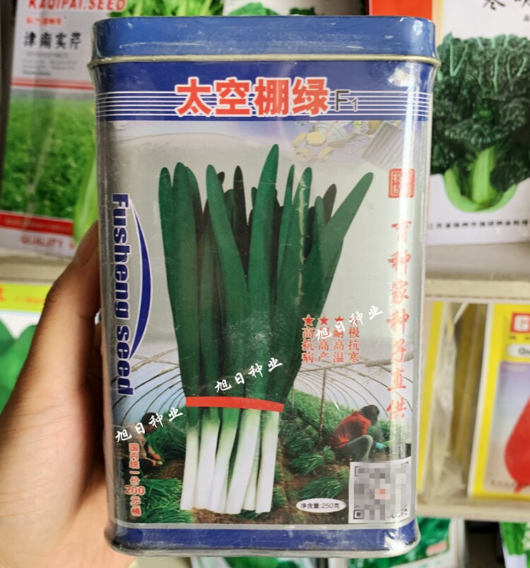抗寒秋季大棚蔬菜种子