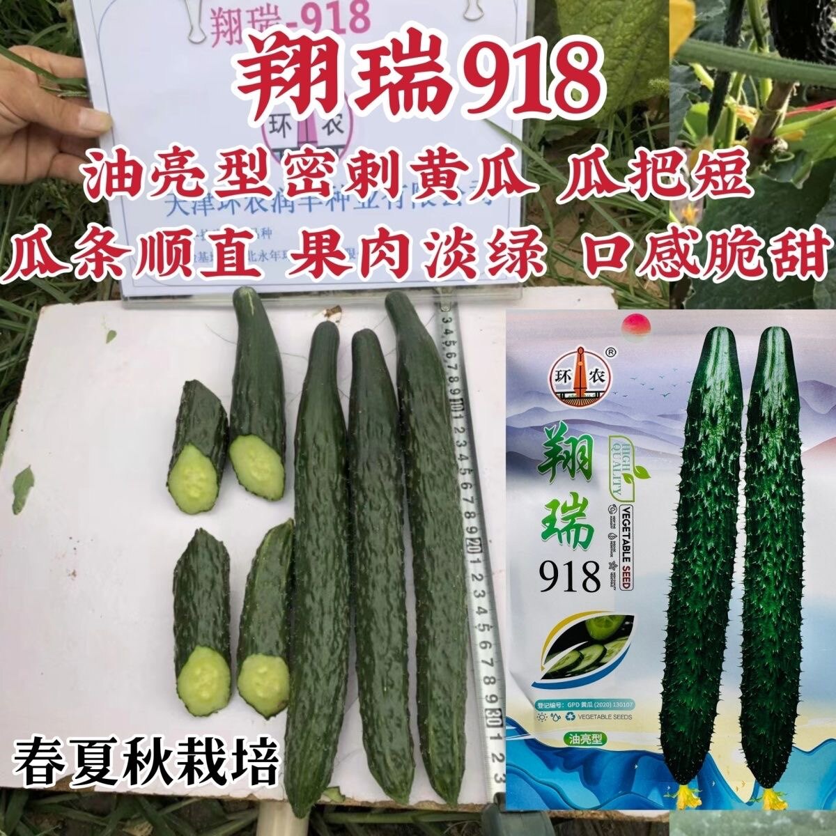 翔瑞918黄瓜种子绿瓤耐热春夏秋季油亮密刺长黄瓜种子脆甜瓜把短
