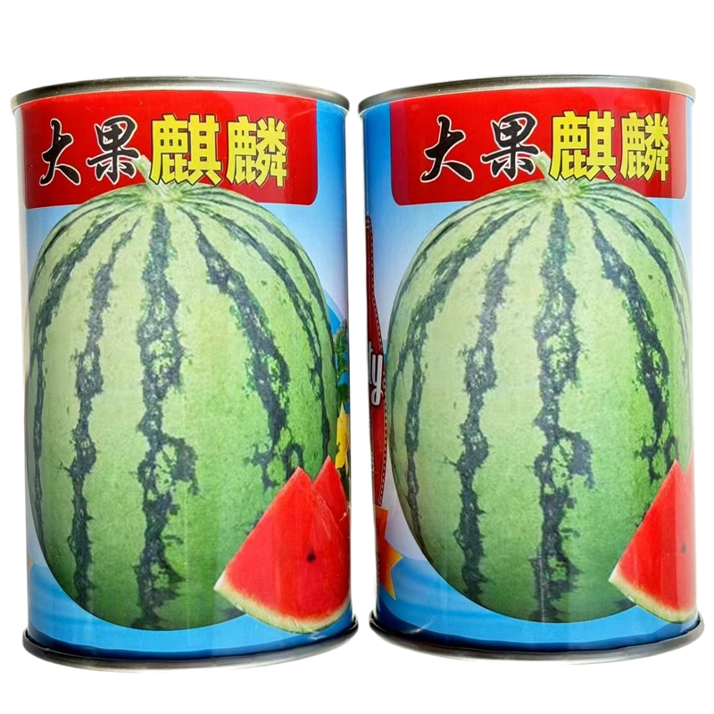 大果麒麟瓜西瓜种子籽早熟高产耐热耐旱沙脆甜比8424耐裂原装正品