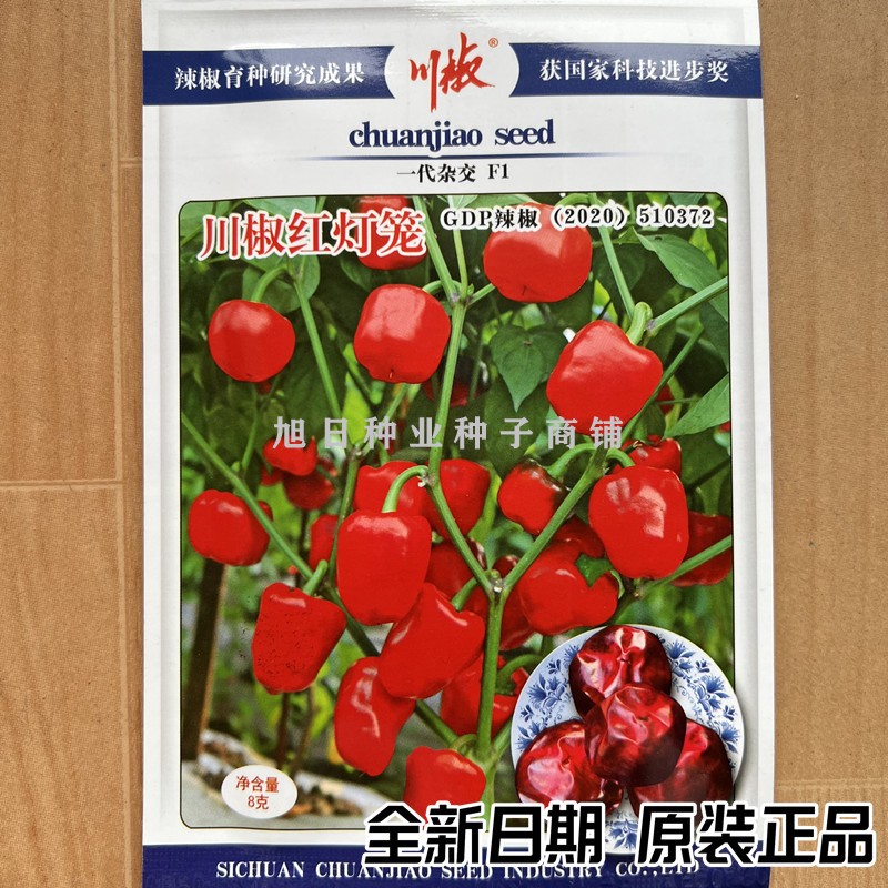 川椒红灯笼泡椒超辣坛子椒种子