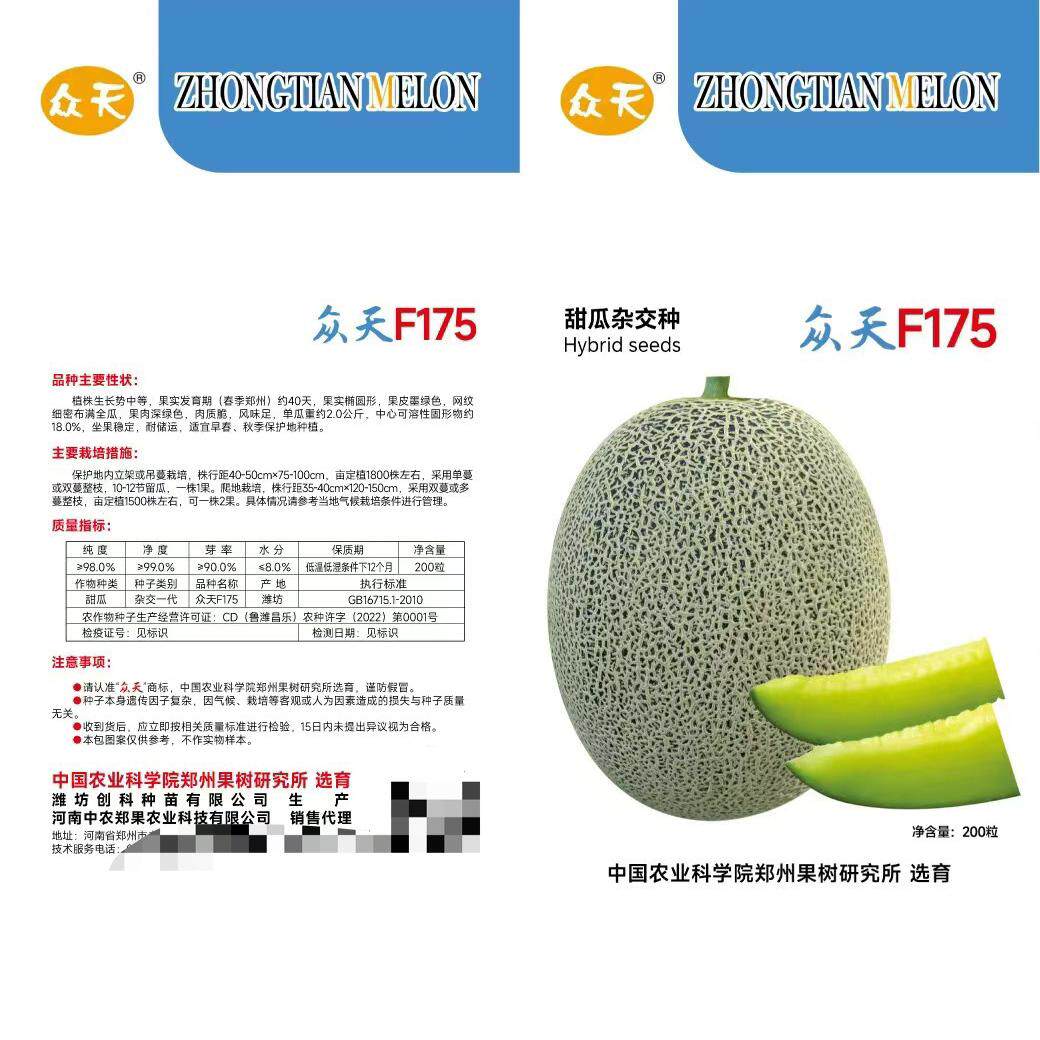F175甜瓜杂交种子果皮深绿色网纹细密耐储耐运输精品哈密瓜种籽孑