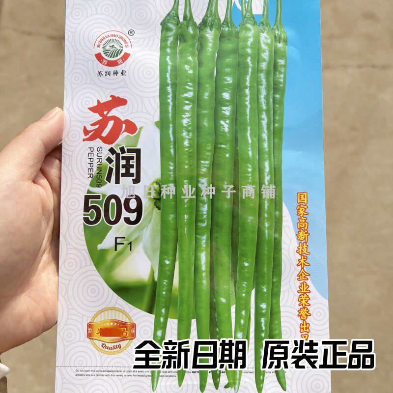 苏润509抗病高秧线椒种子
