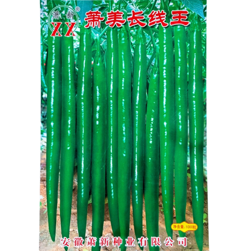 萧新长线王辣椒种子早熟特长线辣椒种籽孑香辣长线椒包邮基地专用
