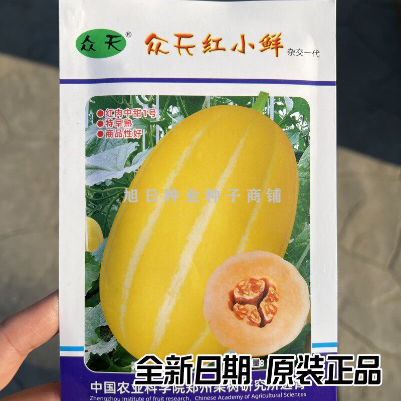 黄皮红肉甜脆香瓜种子
