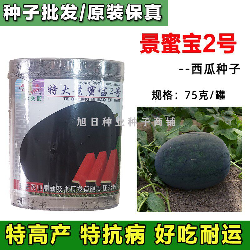 特大景蜜宝2号特大黑皮西瓜种子