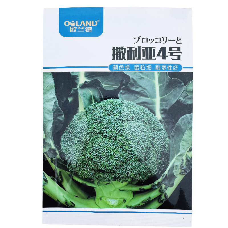 欧兰德 撒利亚4号花菜种子 耐寒高产进口绿花菜 中熟青花菜种籽孑
