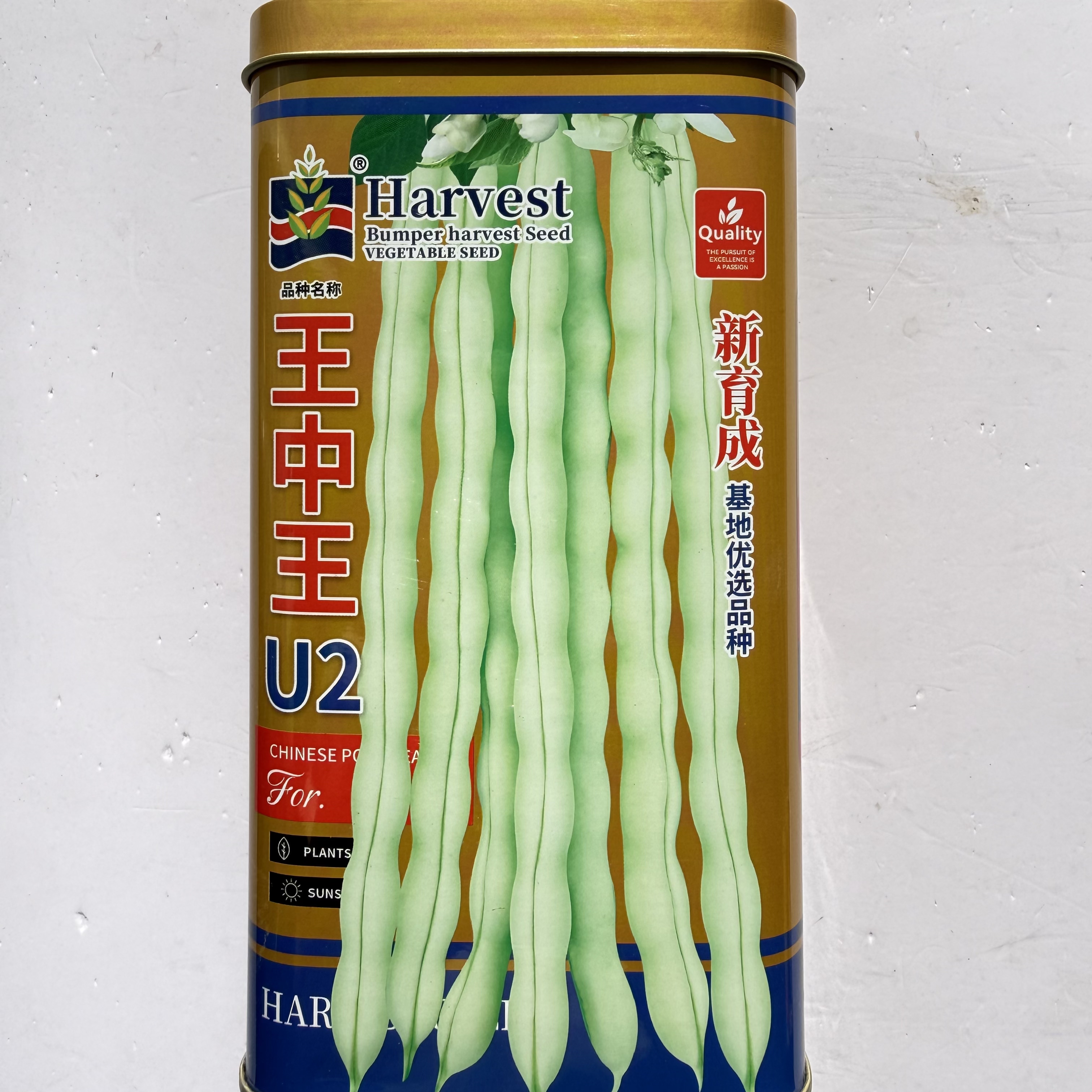 豆角种籽孑蓟农王中王U2架豆白芸豆种子荚长顺直鲜嫩农家春秋四季