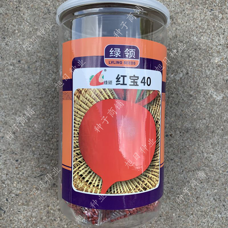 绿领萝卜耐热蔬菜种业包邮