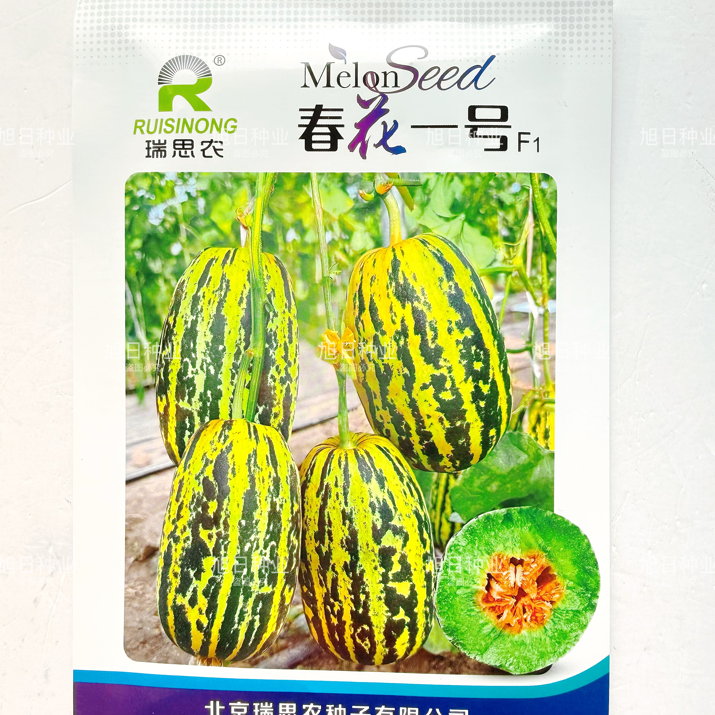 春花1号F1中熟杂交薄皮甜瓜种子果棒型肉绿瓤色橙红甜度高春季播