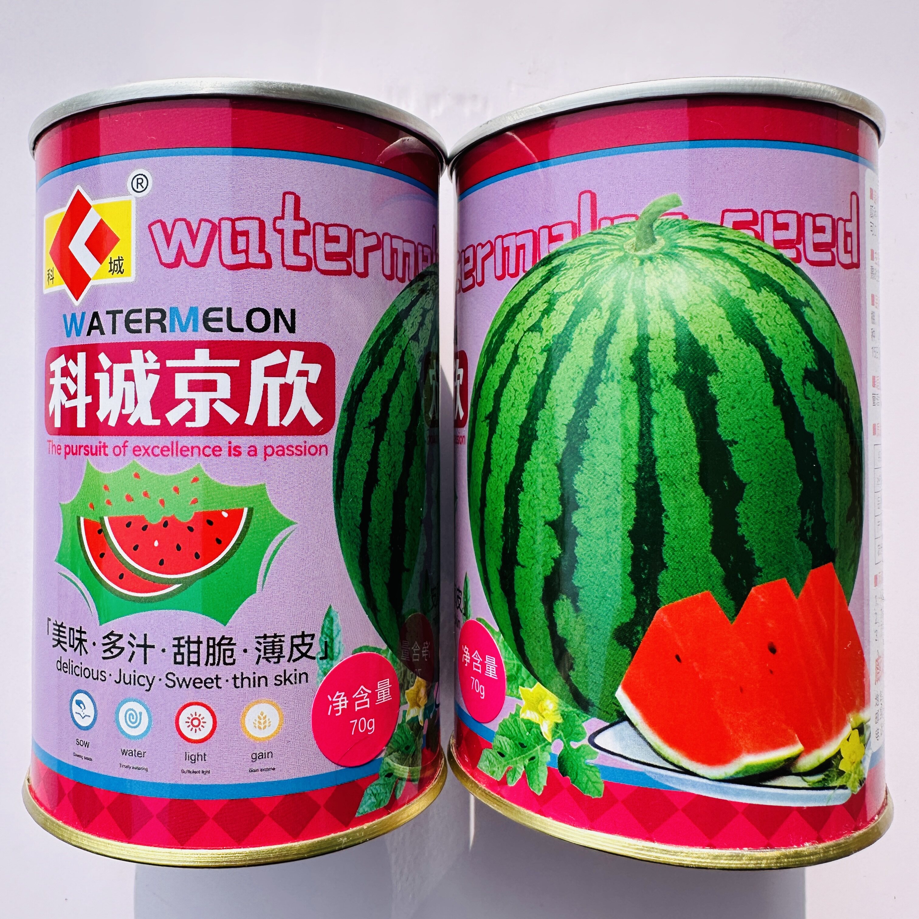 科诚京欣西瓜种子早熟高产抗病耐热耐旱大田基地春夏播种水果种孑