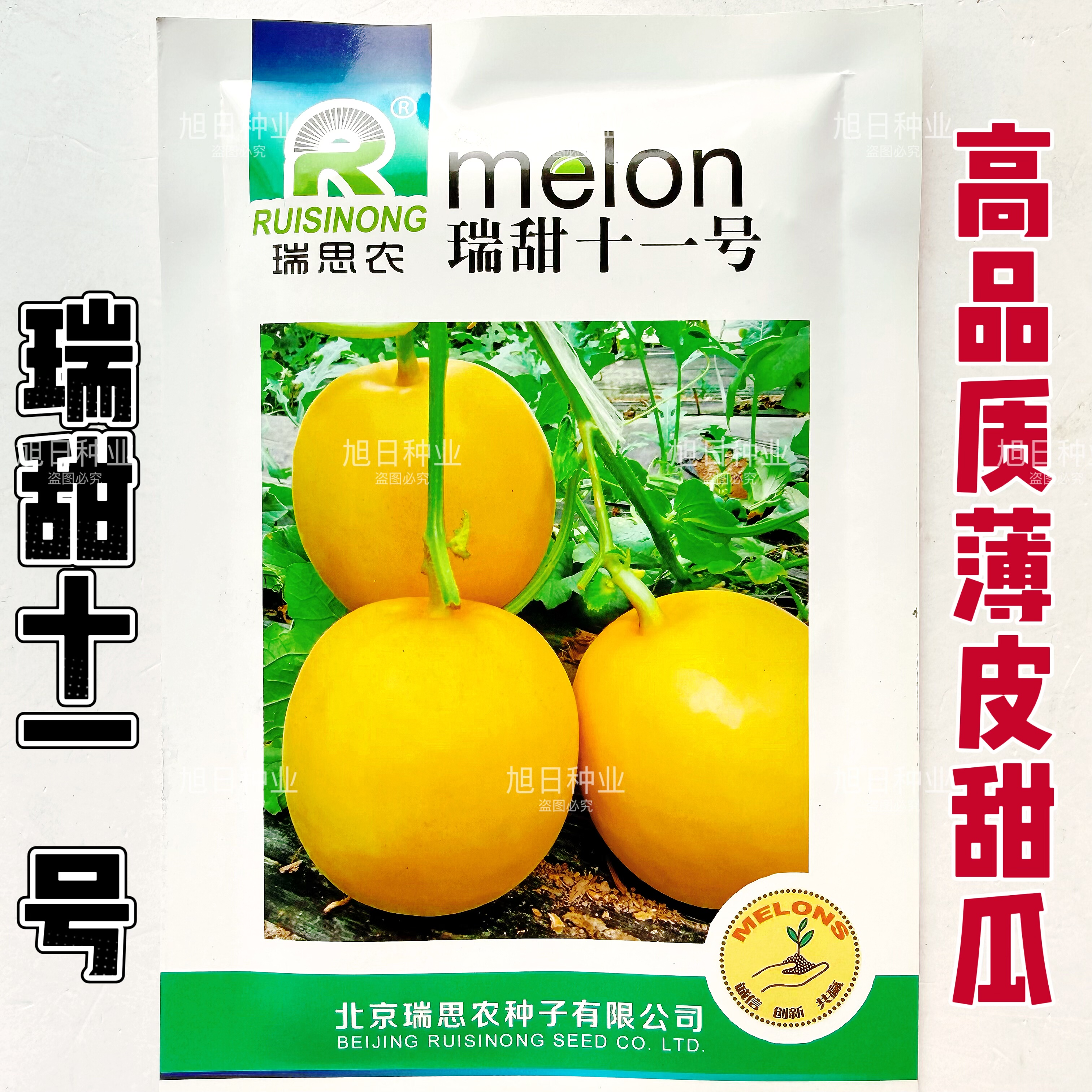 瑞甜十一号早熟薄皮甜瓜种子果圆形果面光滑肉白细腻清香酥脆爽口