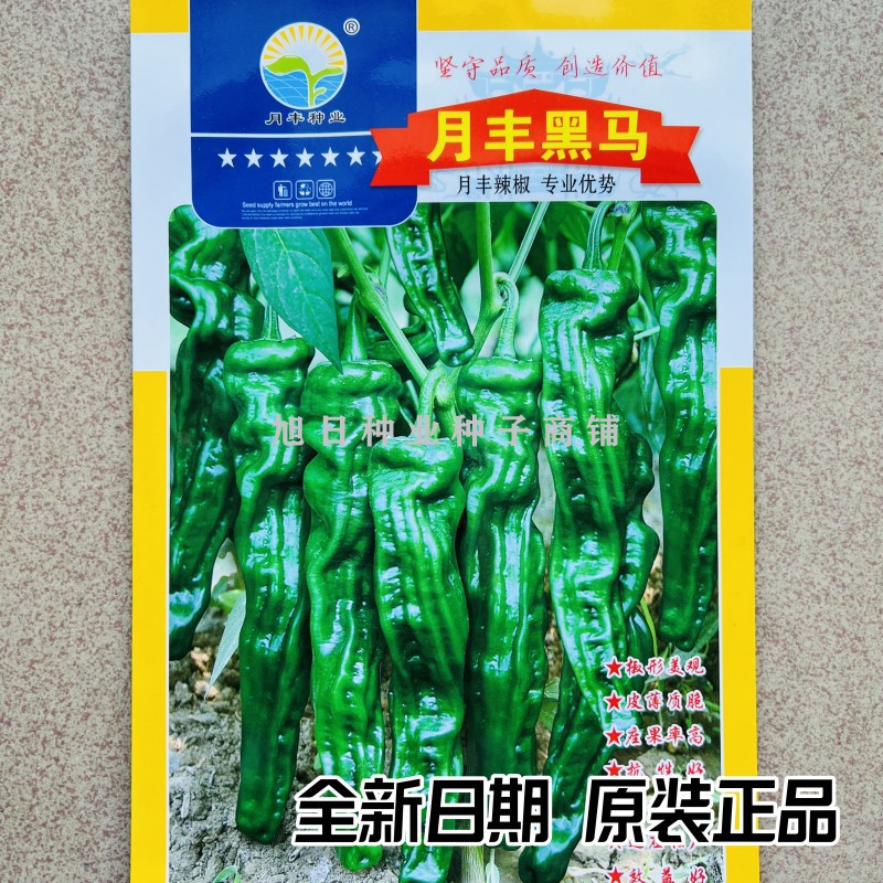 小皱皮椒颜色深基地专用辣椒种子