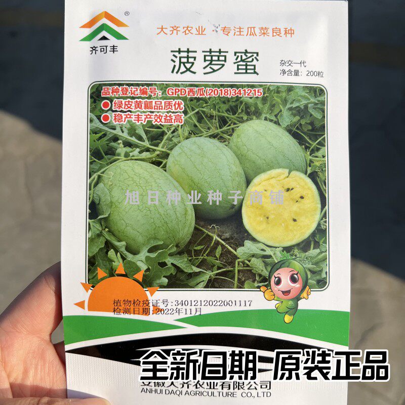 黄瓤西瓜种子菠萝蜜高档礼品黄肉西瓜种子早熟薄皮春季水果种籽孑