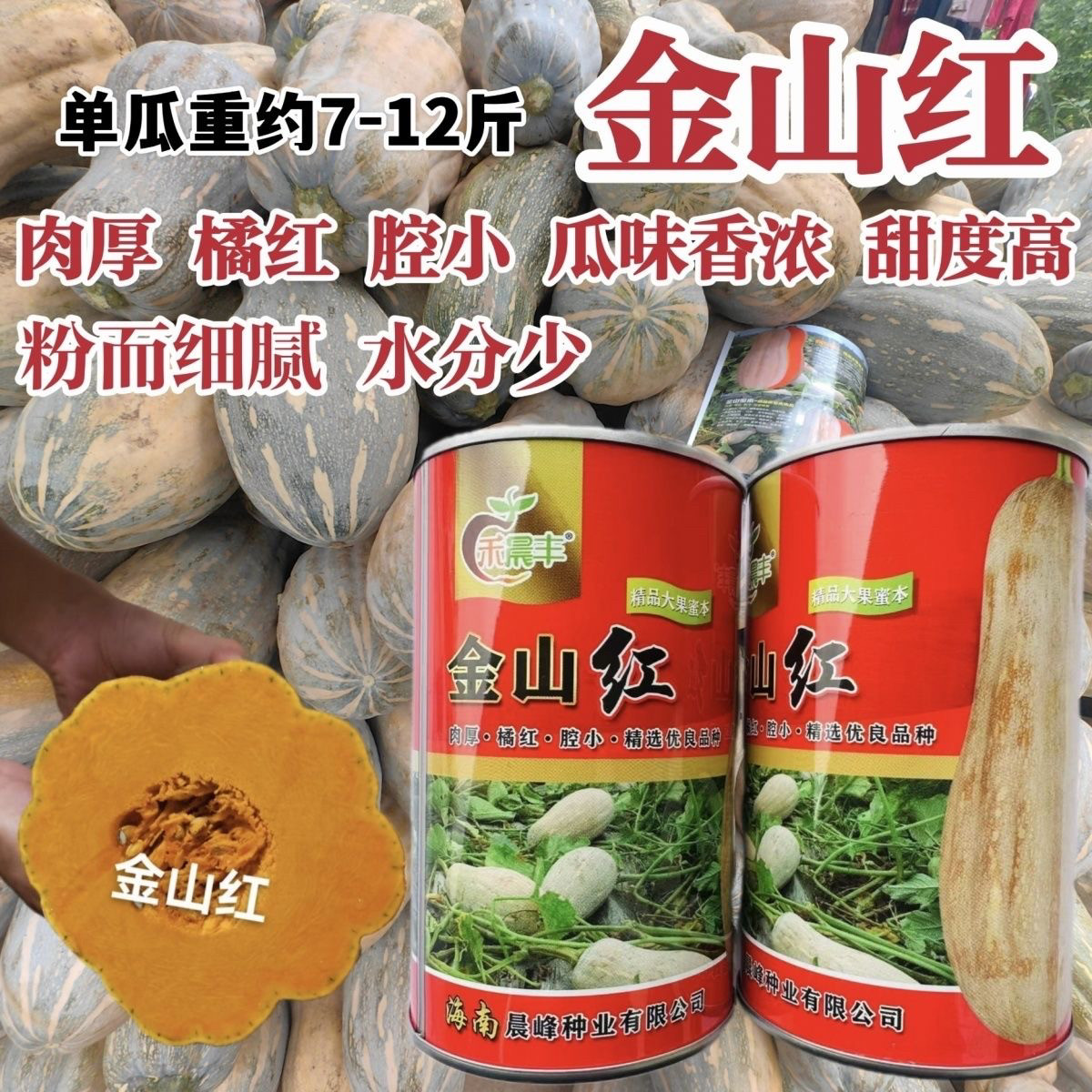 海南金山红大果蜜本南瓜种子橘红肉厚腔小甜度高粉糯精品南瓜种籽