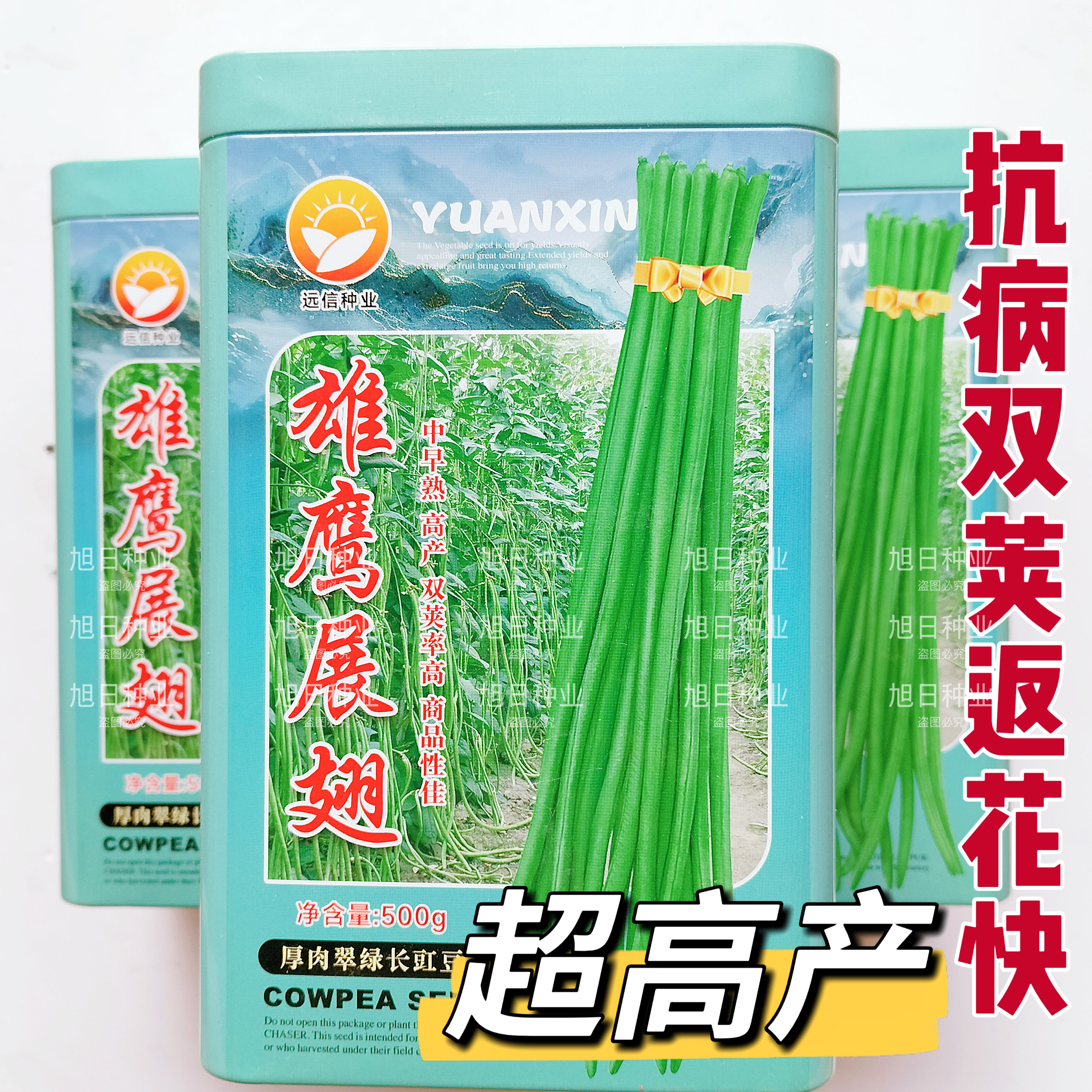 远信雄鹰展翅长豆角种子高产返花快耐老翠绿长豇豆夏秋蔬菜种籽孑