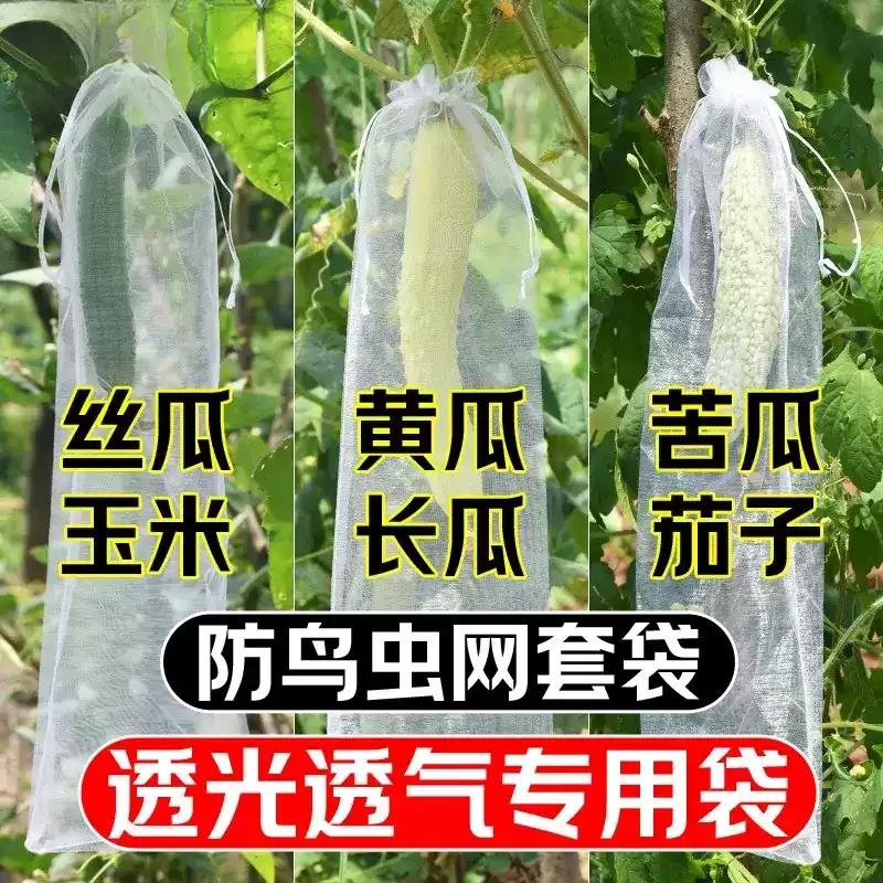 丝瓜黄瓜苦瓜套袋纱袋防