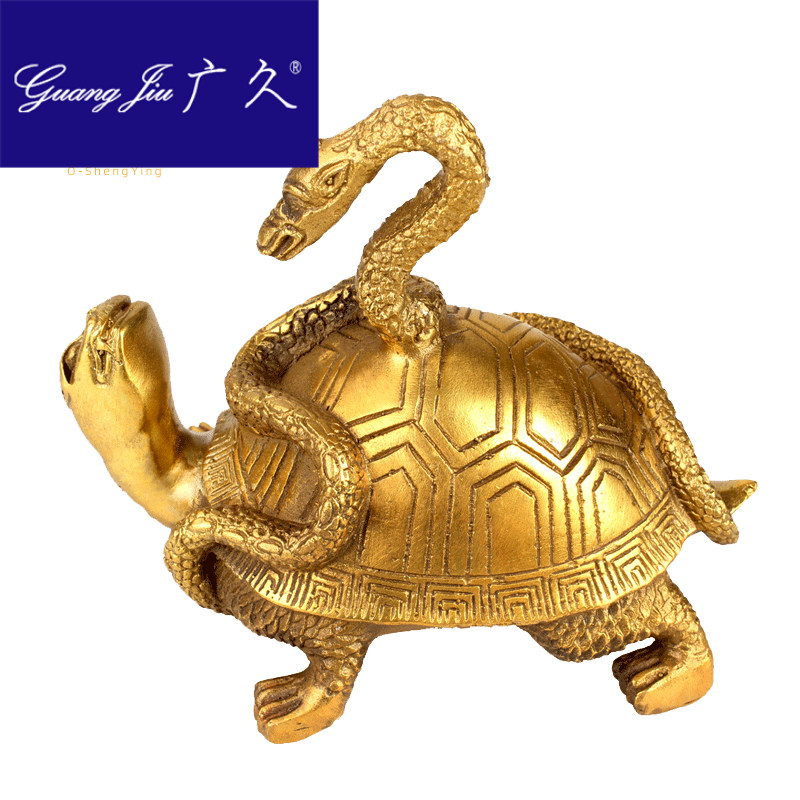 蛇龟价格 蛇龟图片 星期三