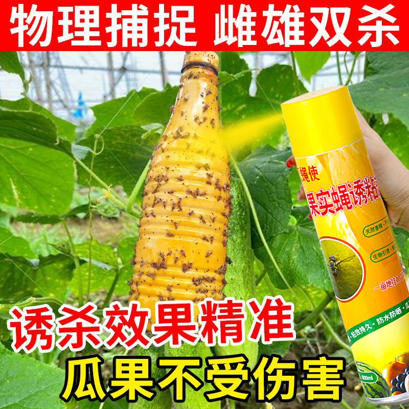 瓜果实蝇诱粘剂果绳诱捕器果树菜园大棚杀虫剂除虫剂灭针蜂引诱剂