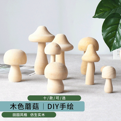 创意木头家居diy彩绘儿童玩具 家居饲养箱实木车木质小蘑菇摆件