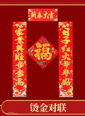 2025蛇年新款对联大礼包春联套装铜版纸烫金平面福字门贴