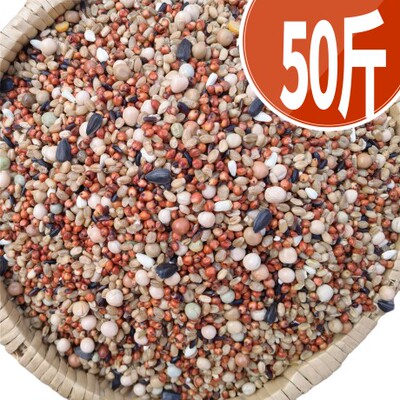 50斤2025新无玉米鸽子粮营养饲料鸟食信鸽观赏鸽肉鸽幼鸽成鸽粮食