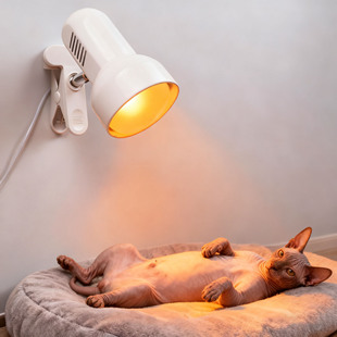 猫咪专用取暖灯恒温保温灯宠物暖灯小太阳加热灯养殖场产房取暖器