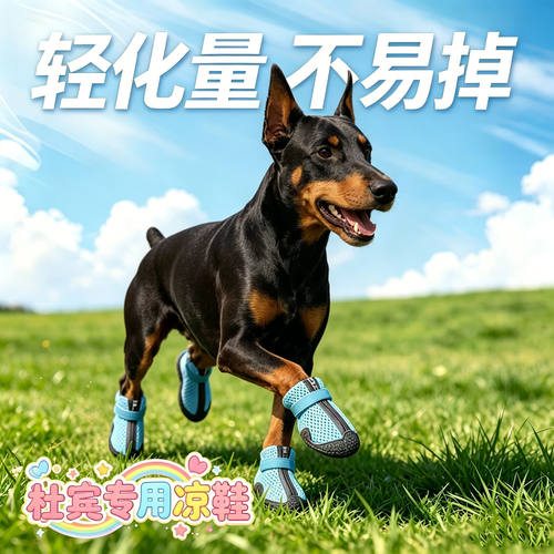 杜宾专用幼犬狗狗凉鞋小狗鞋子夏天透气宠物狗夏季不掉外出防脏滑