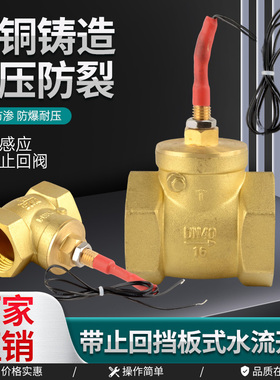 止回挡板式水流开关DN15/40断水保护6分流量控制传感器感应开关
