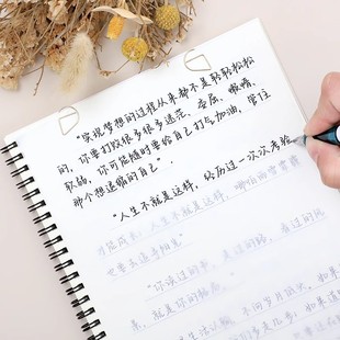 山茶体经典语录文案人生格言诗集作文行楷钢笔练字帖女生漂亮字体