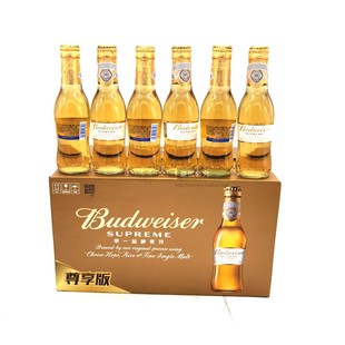百威金尊啤酒单一麦芽黄啤尊享版200/259ml*24瓶迷你高端包邮