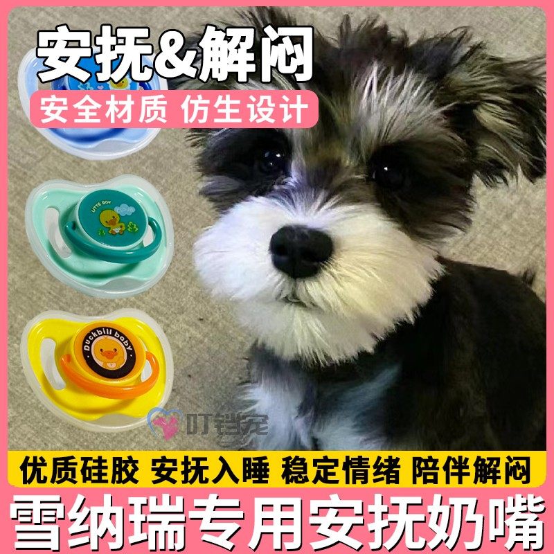雪纳瑞专用奶嘴狗狗安抚小狗宠物玩具磨牙生活用品断奶刚出生幼犬,宠物/宠物食品及用品,饮水器/水壶/水头,淘宝优惠券,粉丝福利购,淘宝优惠卷