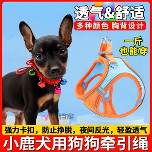 小鹿犬专用牵引绳小体犬狗狗工字型胸背鹿犬小狗网红狗绳超小型犬